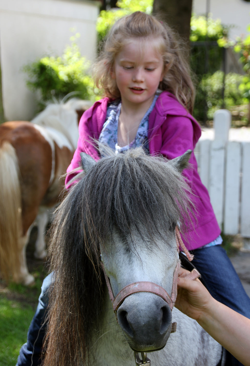 Frühförderung für Kinder