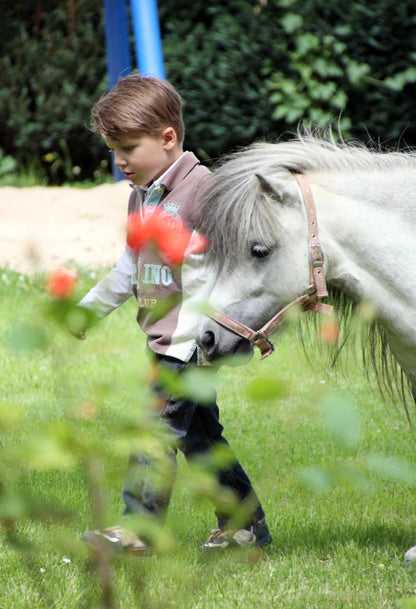 Pony To Go