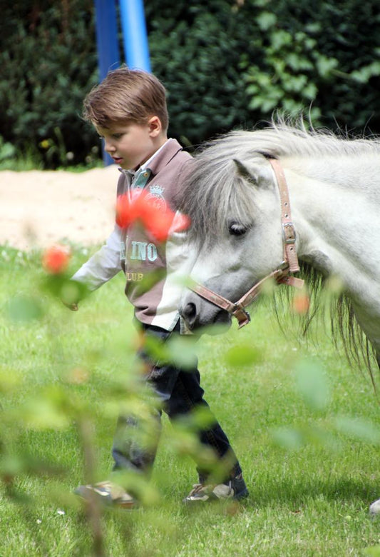 Pony To Go