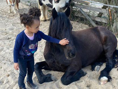 Frühförderung für Kinder