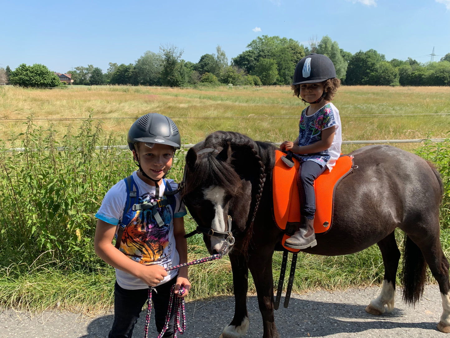 Pony To Go