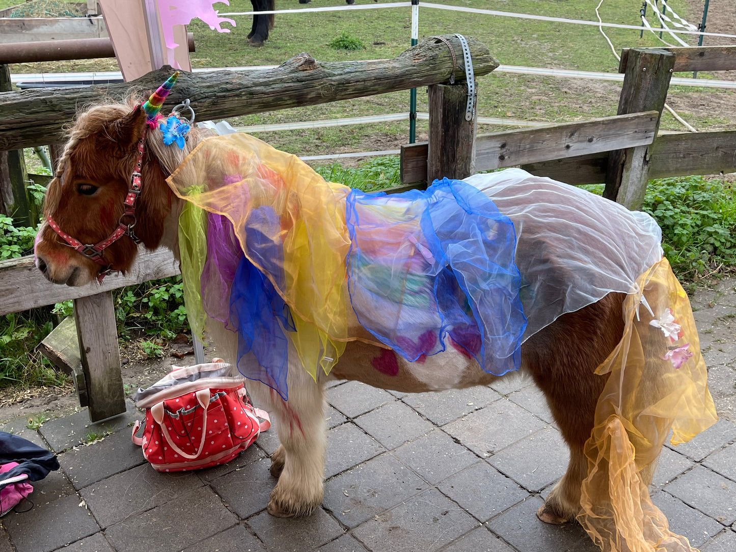 Kindergeburtstag