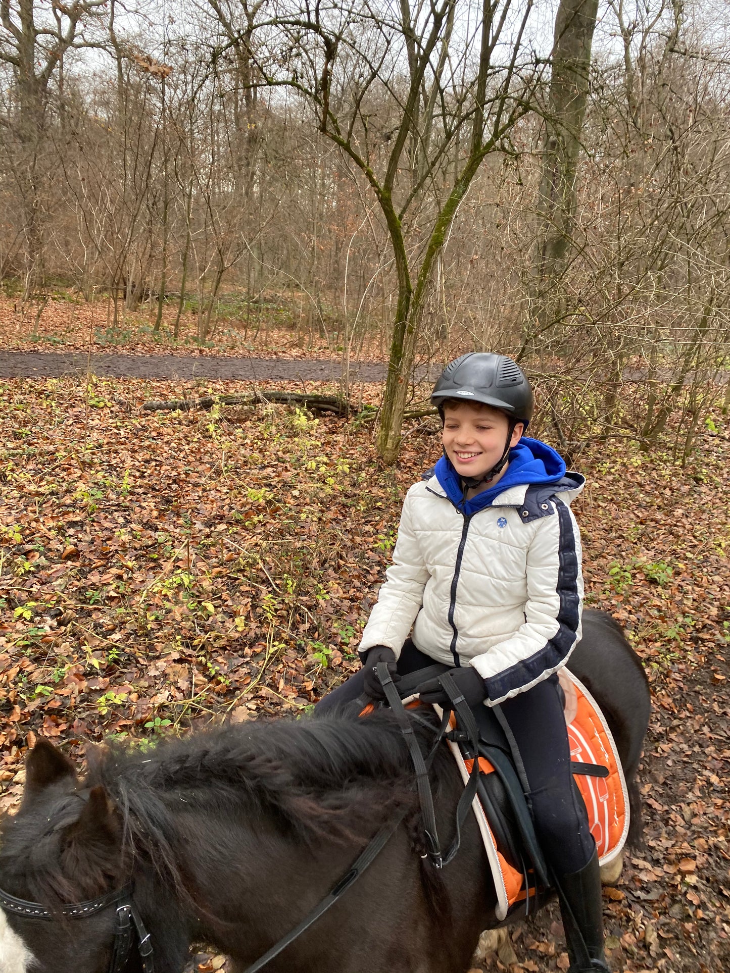 Pony To Go