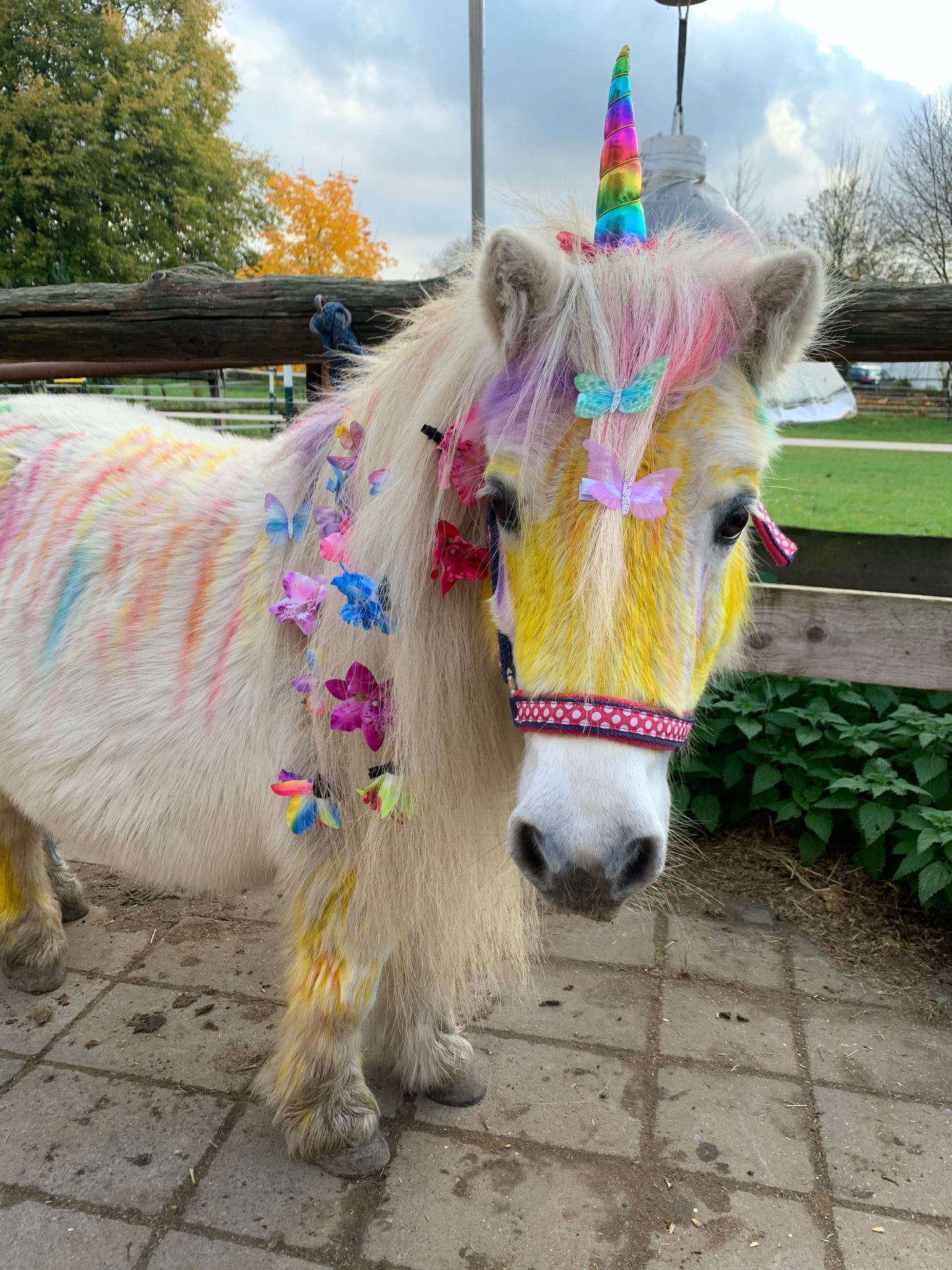 Kindergeburtstag